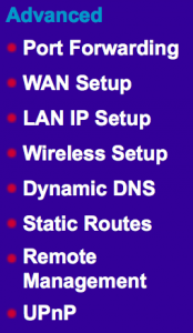 net forwarding old 1