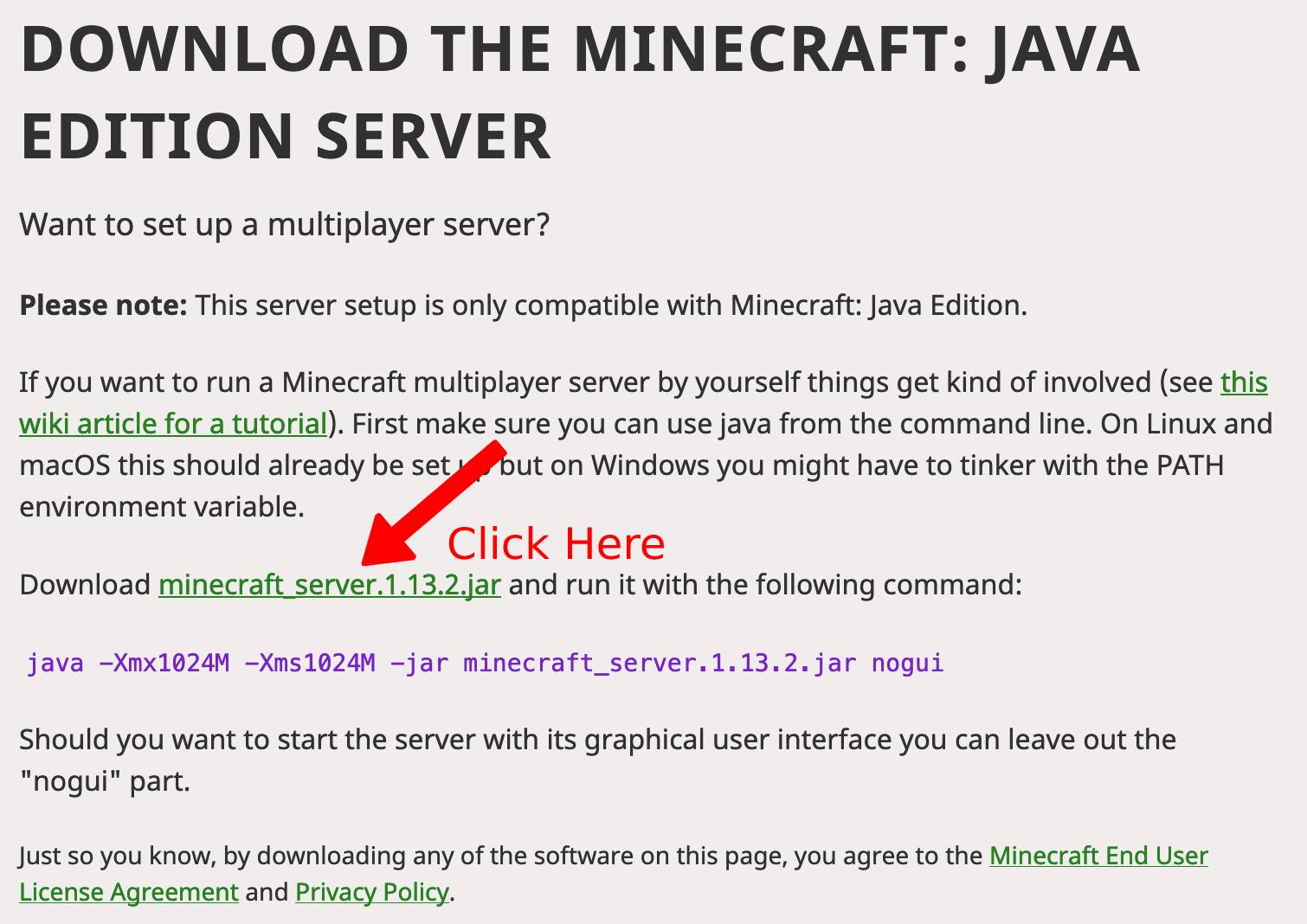 minecraft server software